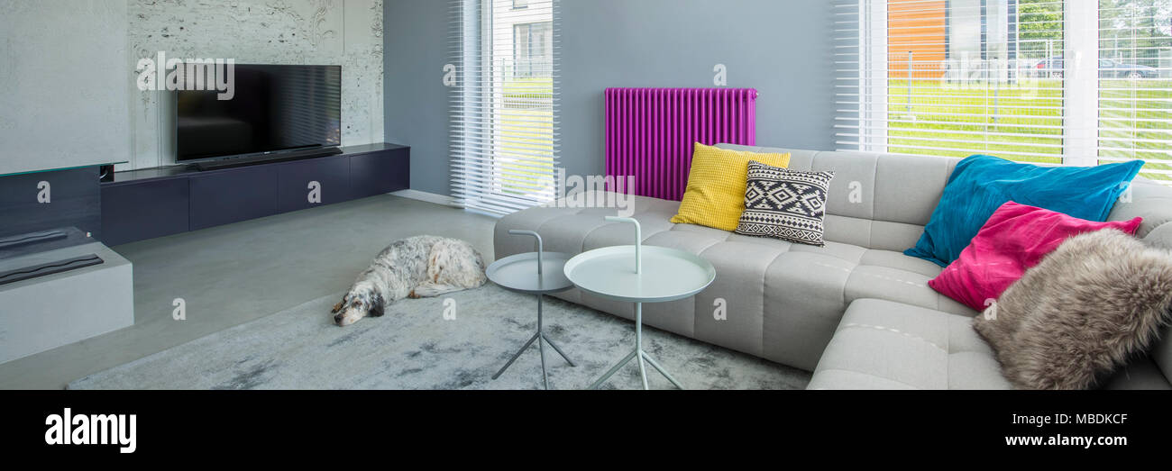 Designer Dog High Resolution Stock Photography And Images Alamy