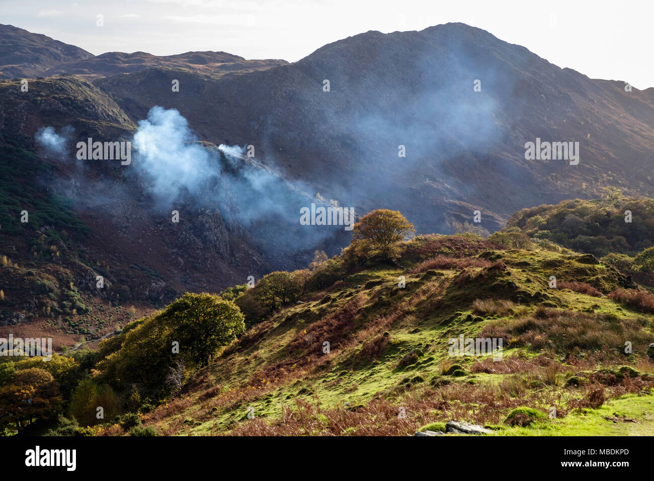 Smoke from fires burning to control Rhododendrons on National Trust hillside above Nant Gwynant in Snowdonia. Beddgelert, Gwynedd, Wales, UK Stock Photo