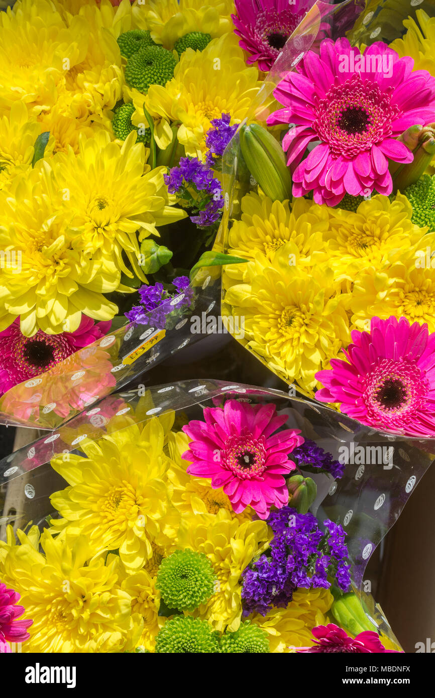 Posies High Resolution Stock Photography and Images - Alamy