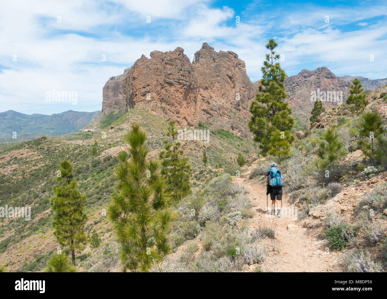 Female hiker blue mountains hi-res stock photography and images - Alamy
