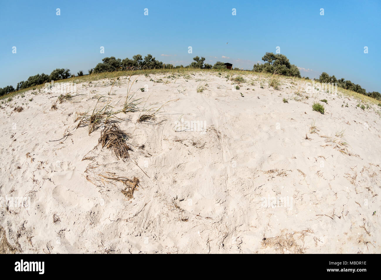 Summer landscape - sandy shore with forest strip in the background, wide angle with fish eye effect Stock Photo