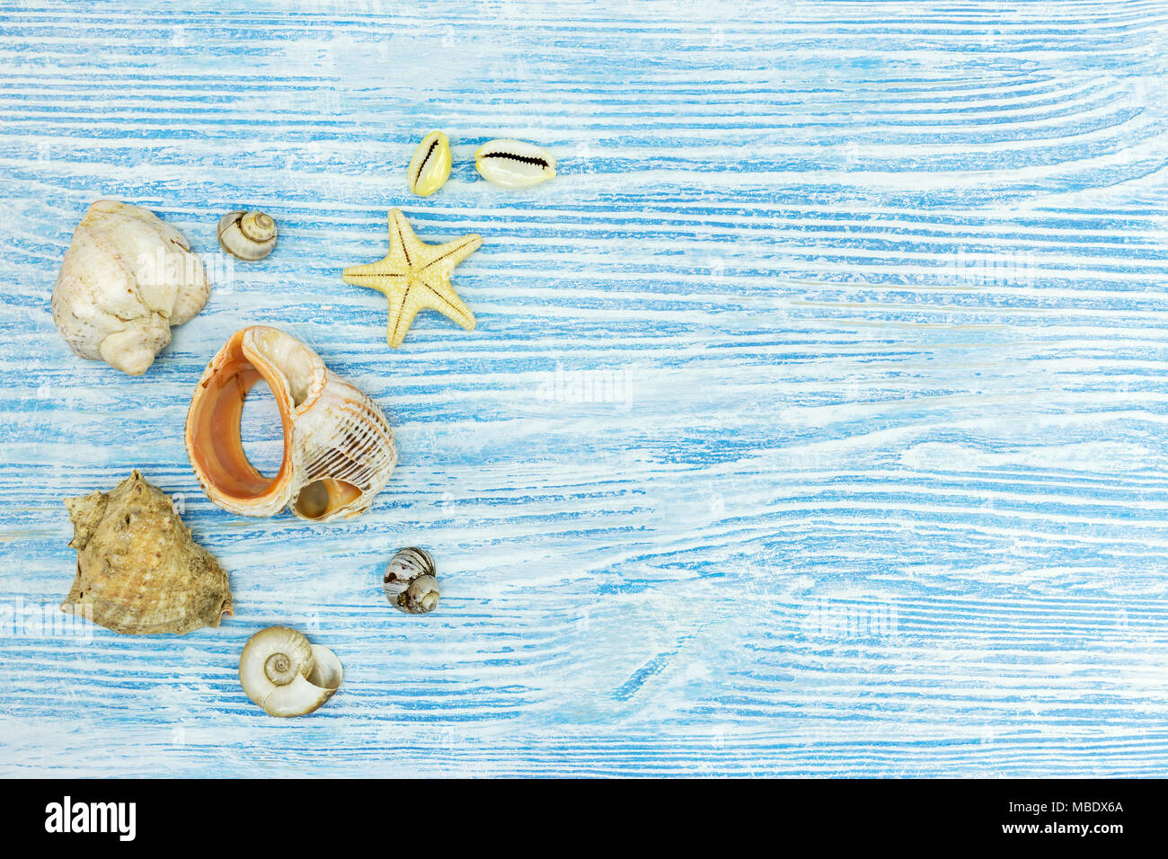 47 Beach Themed Wallpaper Border WallpaperSafari