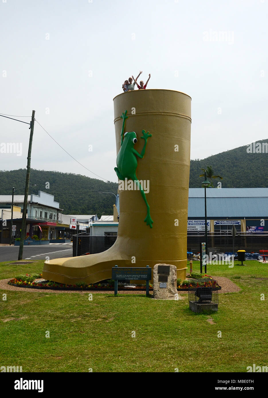 golden gumboot, Queensland Stock Photo