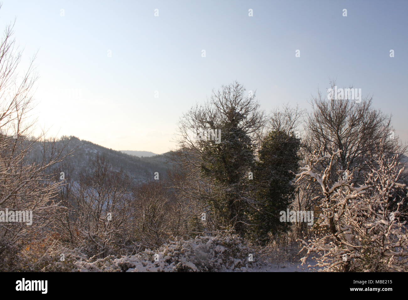 Frost and snow begins to settle on nearby trees and mountains in the distance. Stock Photo
