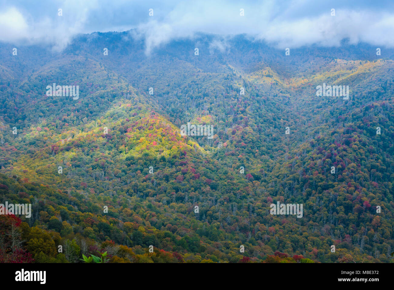 North Carolina, United States of America. Fall scenery in the Great
