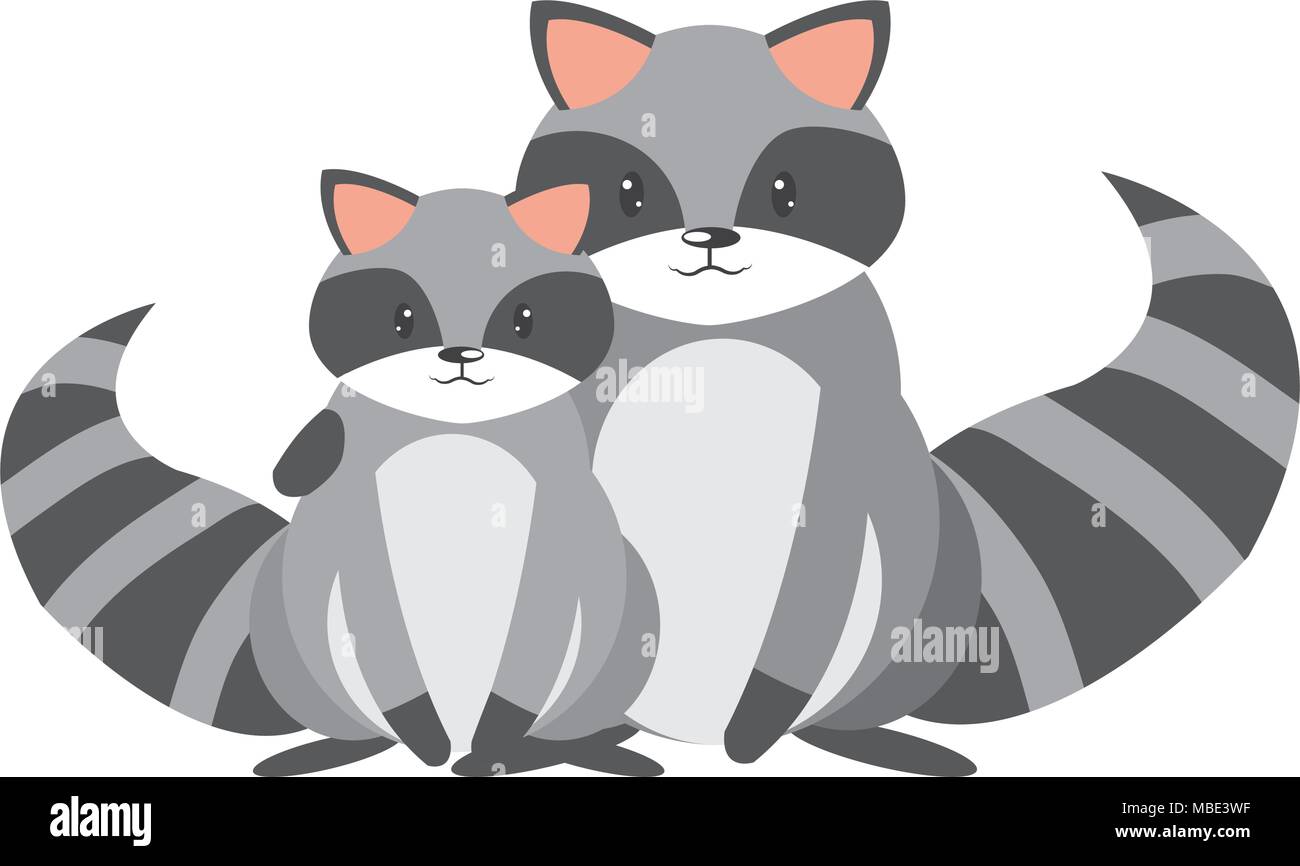 nature raccoon couple wild animal Stock Vector Image & Art - Alamy