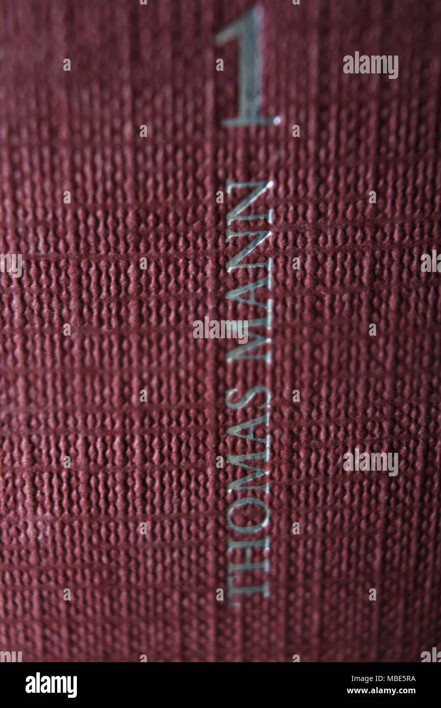 Thomas Mann title printed in book spine, close-up Stock Photo