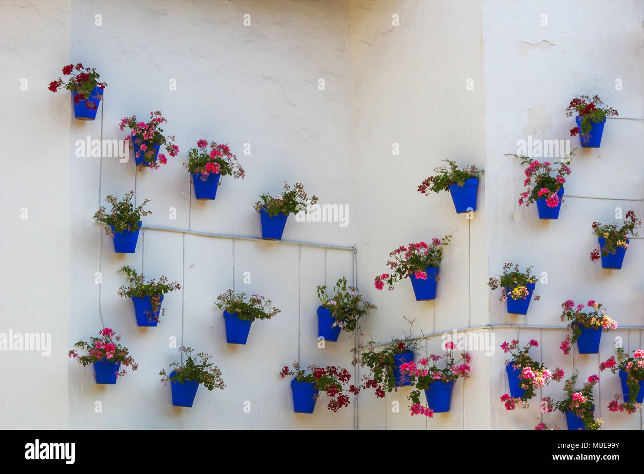 Traditional spanish flower pots on white wall Stock Photo - Alamy