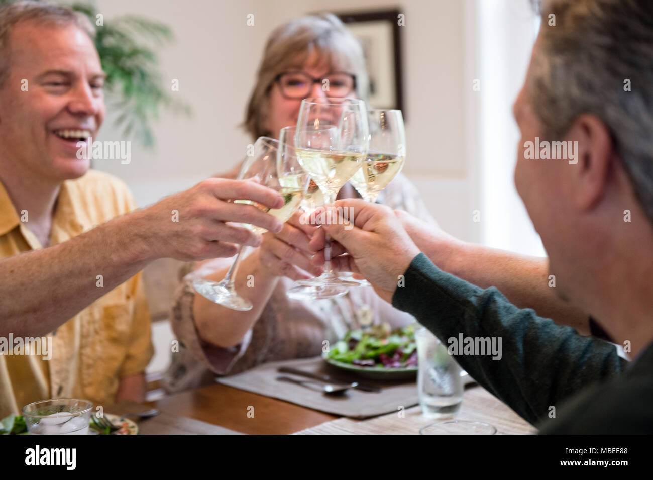 Senior couples toasting a home dinner party with glasses of white wine. Stock Photo