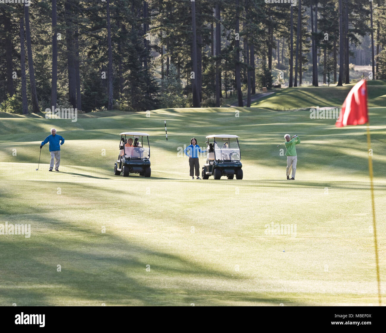 Two senior couples playing golf on a golf course. Stock Photo