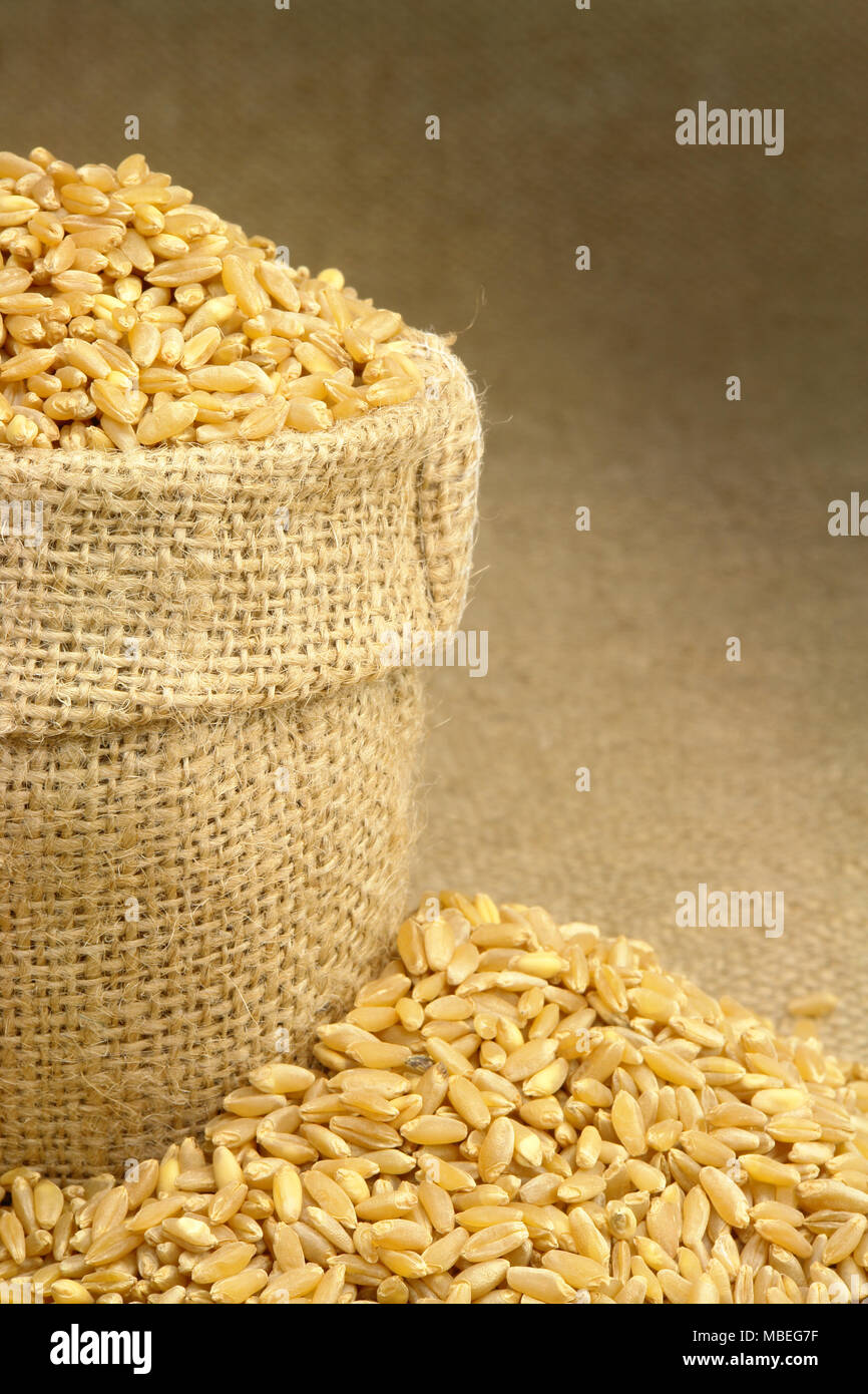 Wheat in Bag Stock Photo