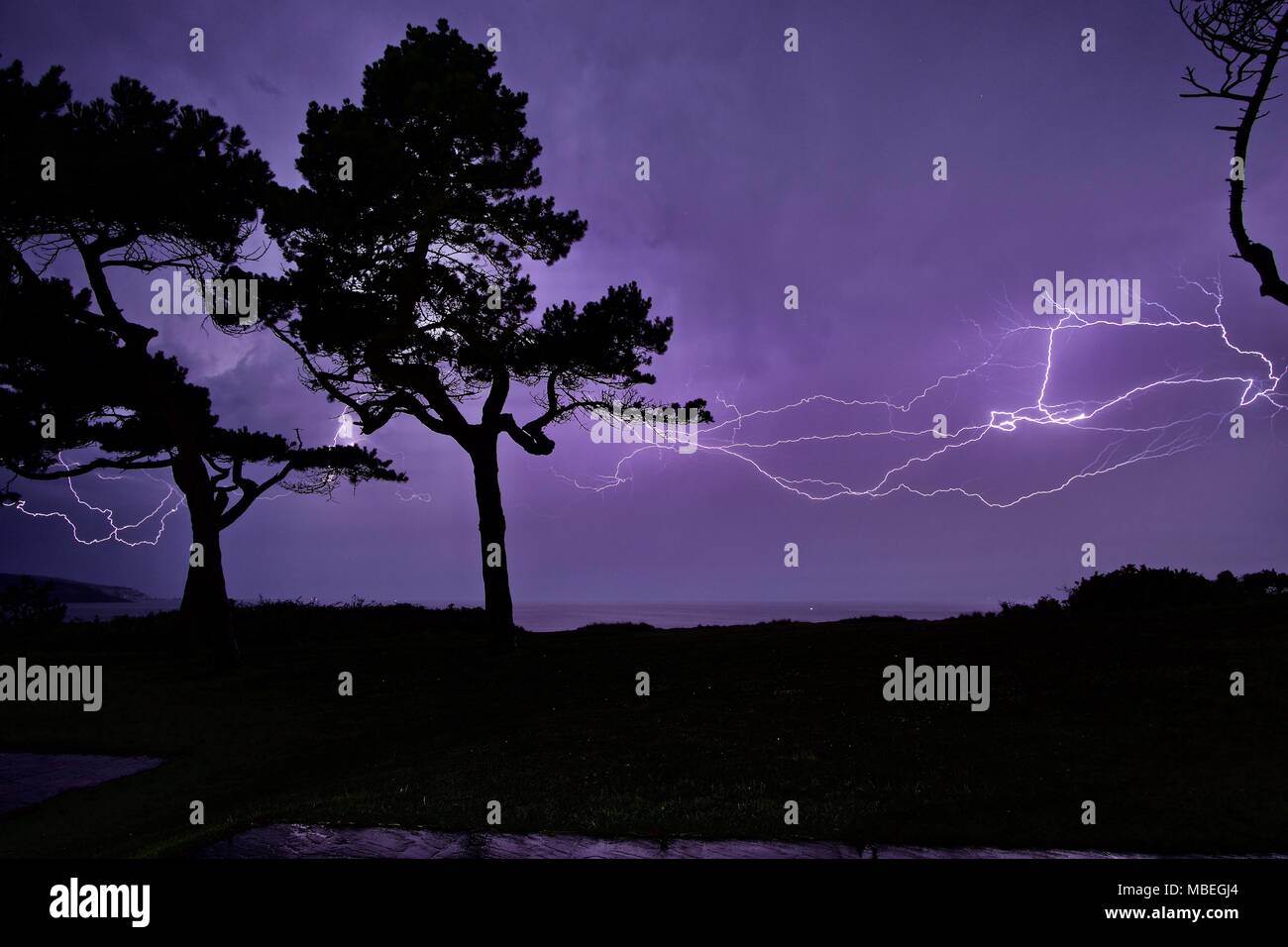 Thunderstorm with fork lighting at night over Colwell Bay, Isle of Wight with silhouettes of Scots Pine trees Stock Photo