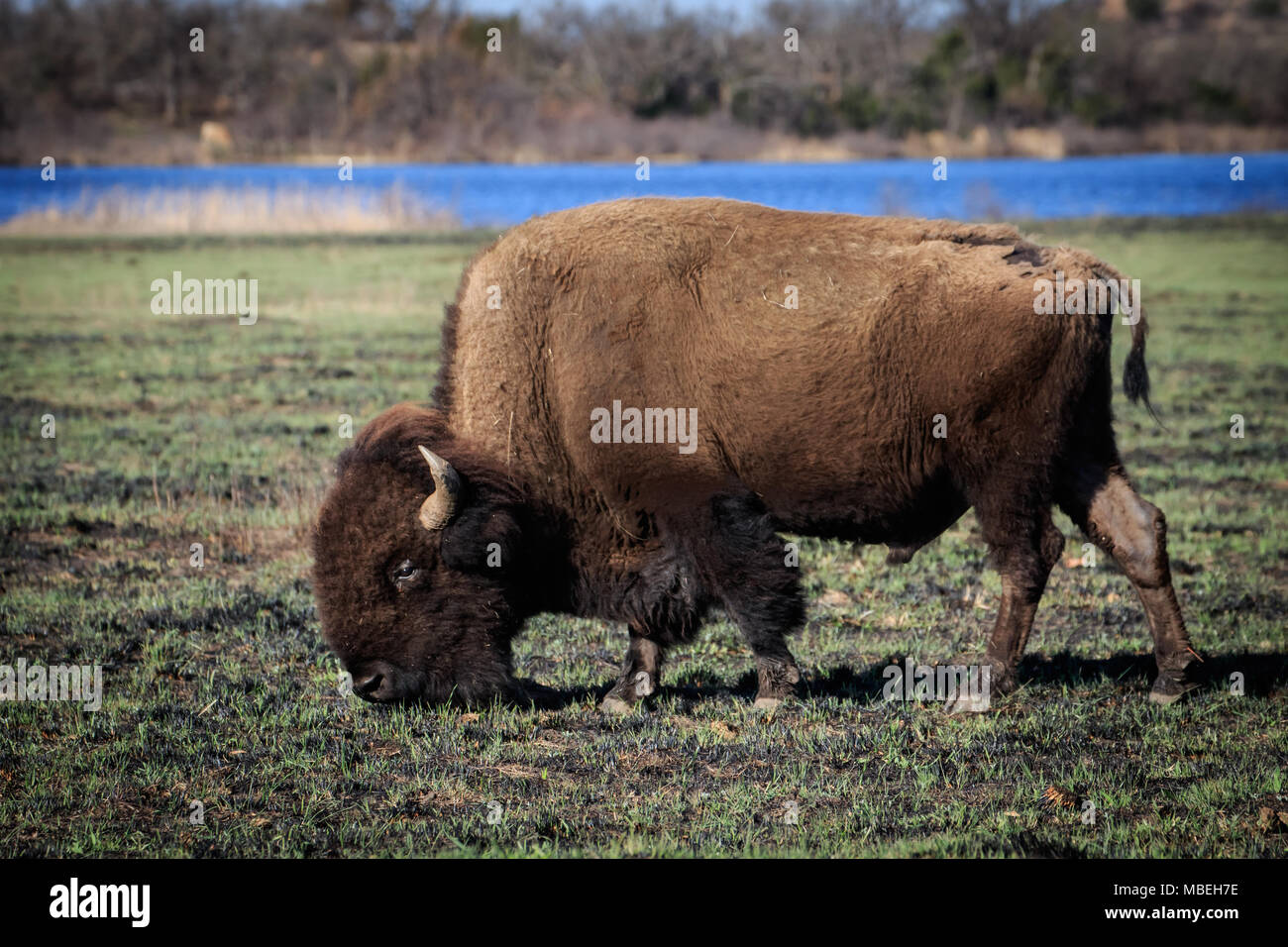 Wichita Stock Photos Wichita Stock Images Page 2 Alamy