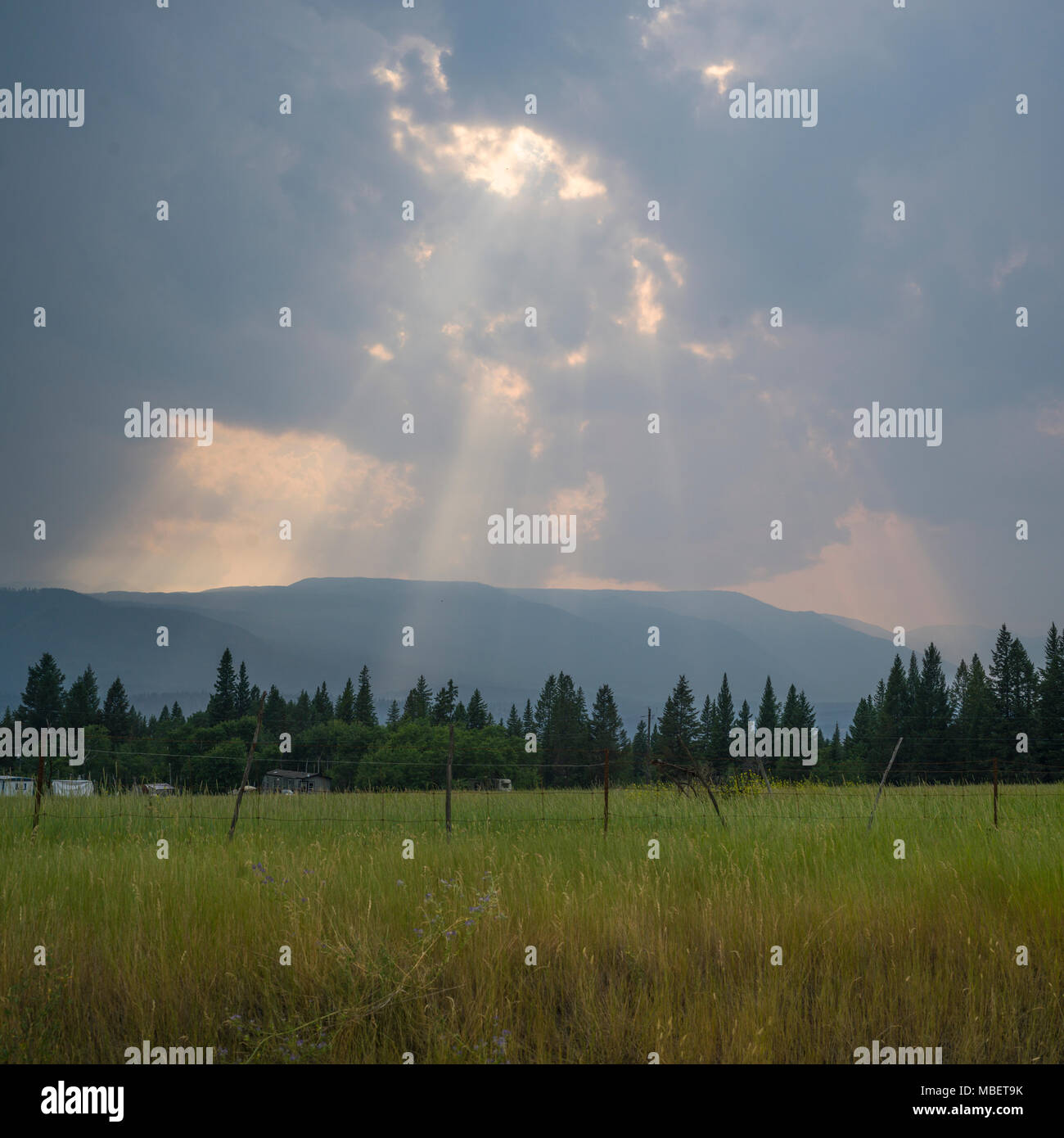 Spillimacheen hires stock photography and images Alamy