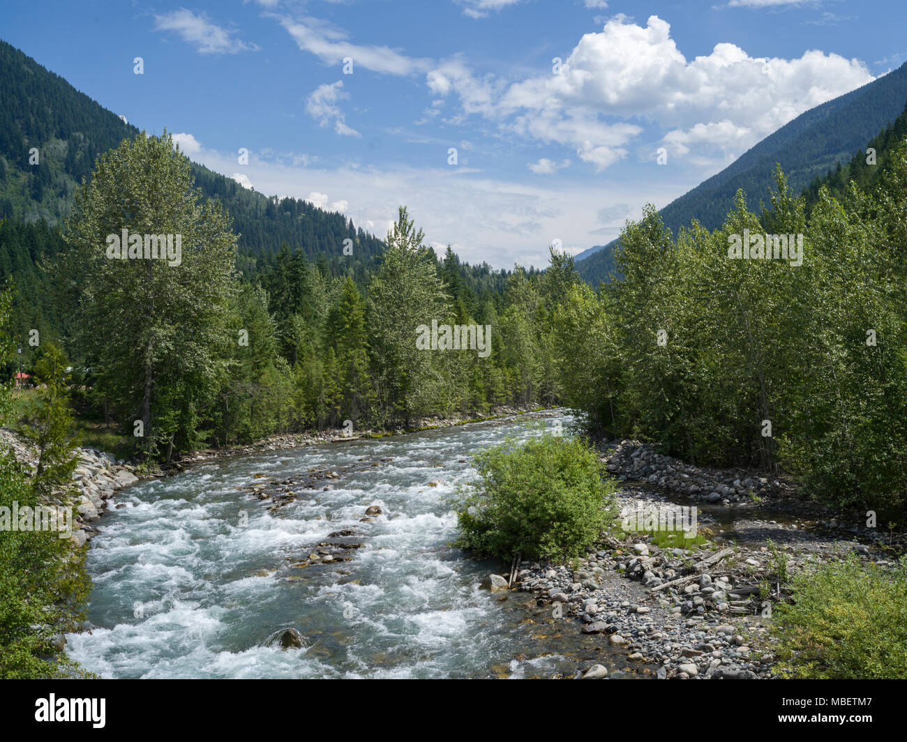 River flowing through forest, Slocan Park, British Columbia, Canada ...