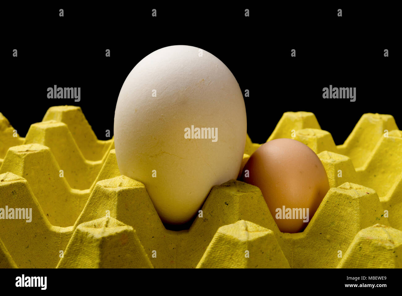 giant size goose egg next to a chicken egg on package concept of size