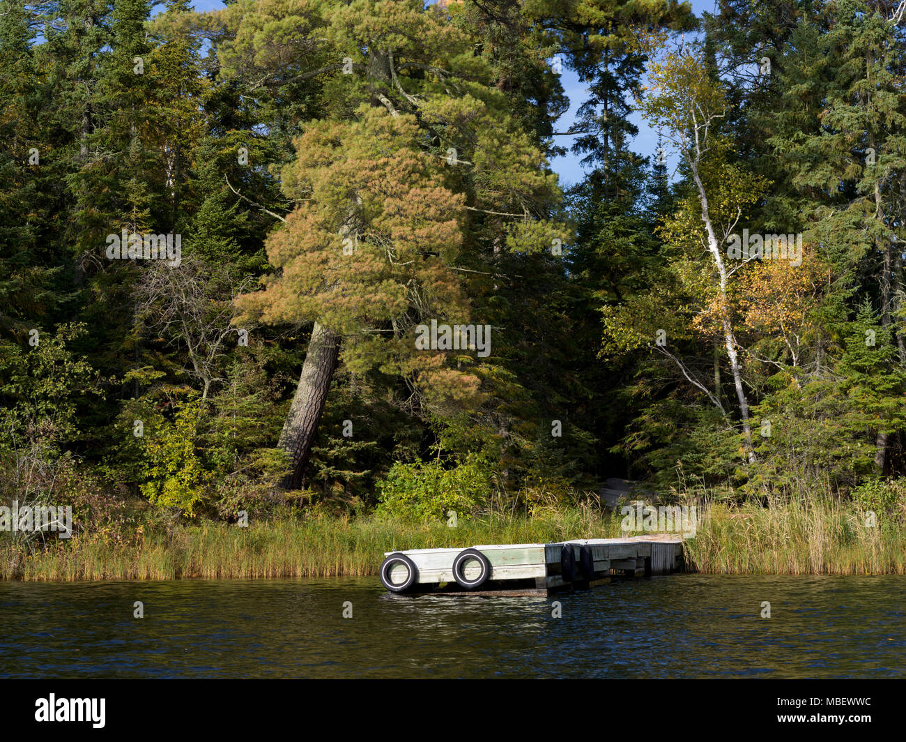 Dock in a lake, Kenora, Lake of The Woods, Ontario, Canada Stock Photo Alamy