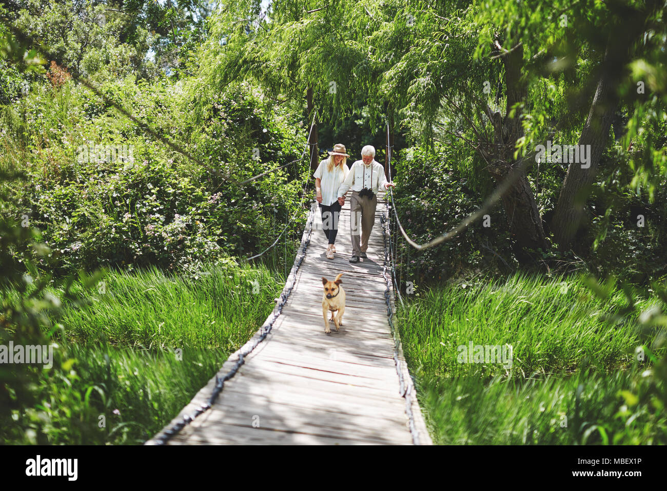 Active senior couple and dog crossing footbridge among lush green trees Stock Photo