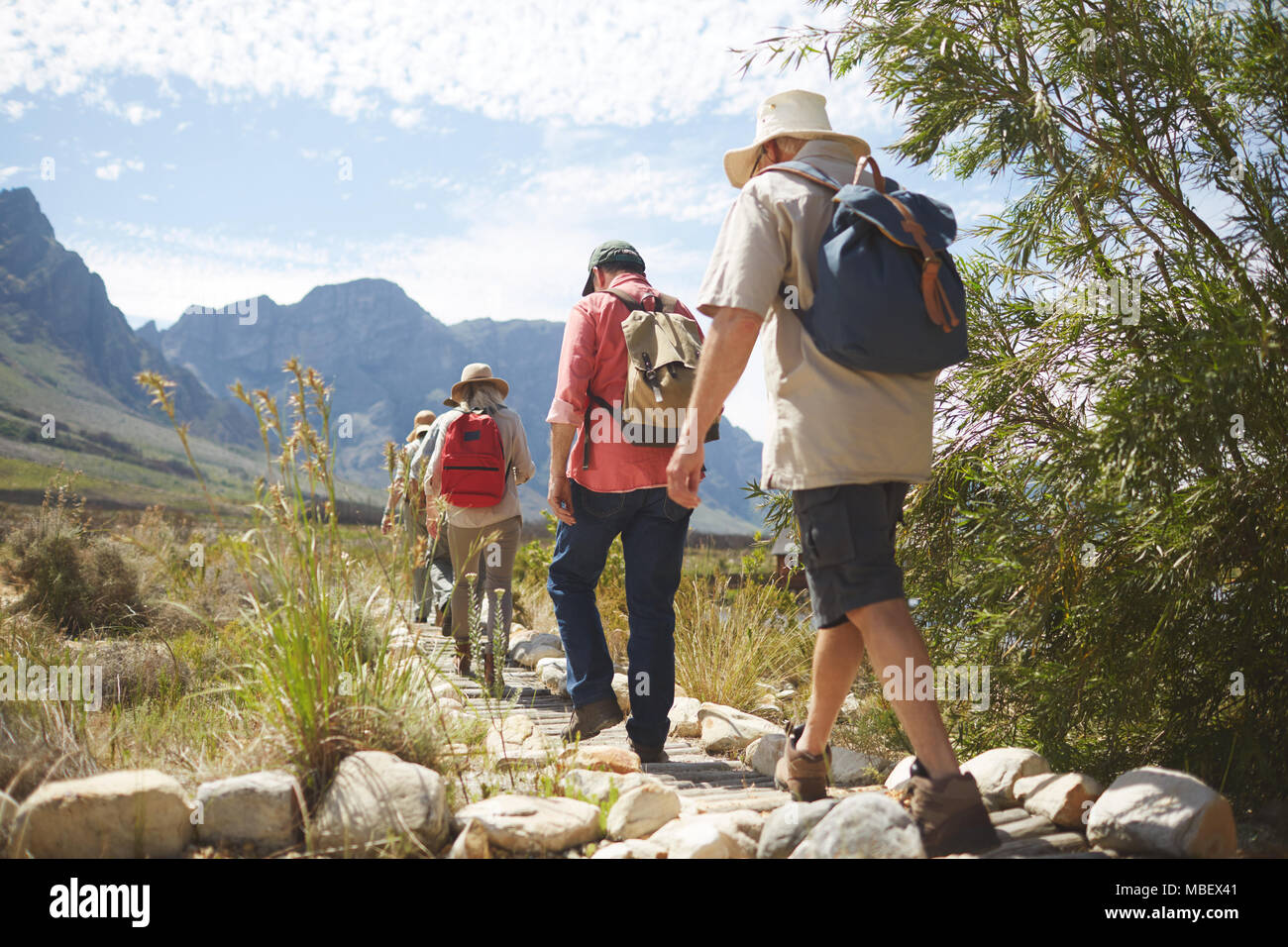 Active senior friends with backpacks hiking along sunny summer footpath Stock Photo