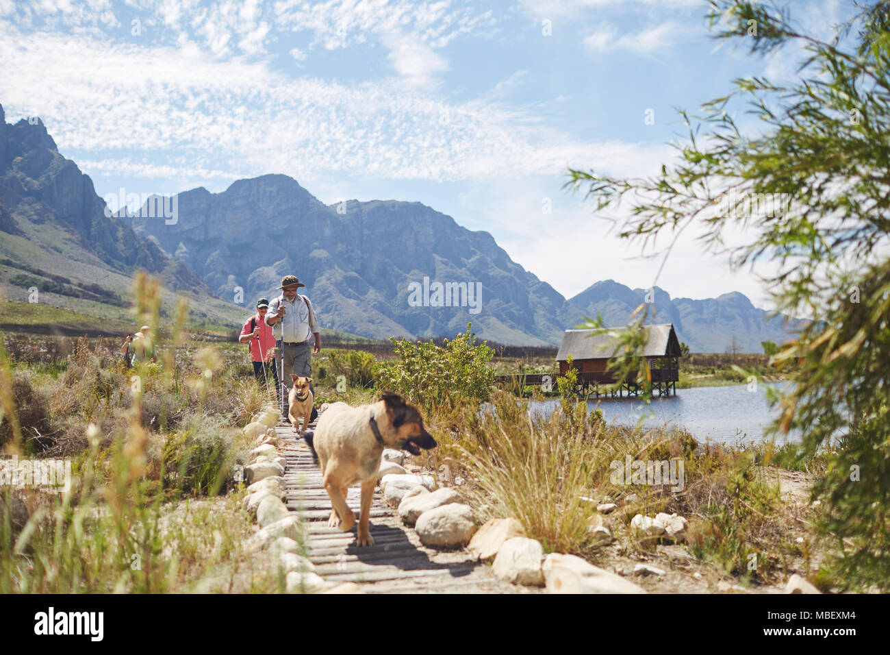 Hikers and dogs walking on footpath along sunny summer lake Stock Photo