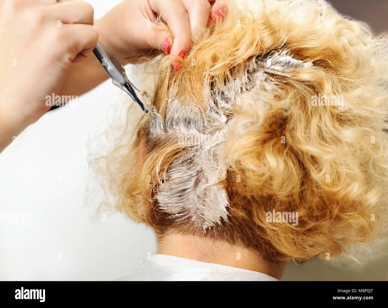 Beauty salon. Hairdresser dye hair of female client Stock Photo Alamy