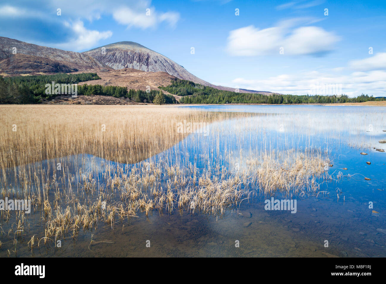 reed beds at Loch Cill Chriosd with Beinn na Caillich in the distance