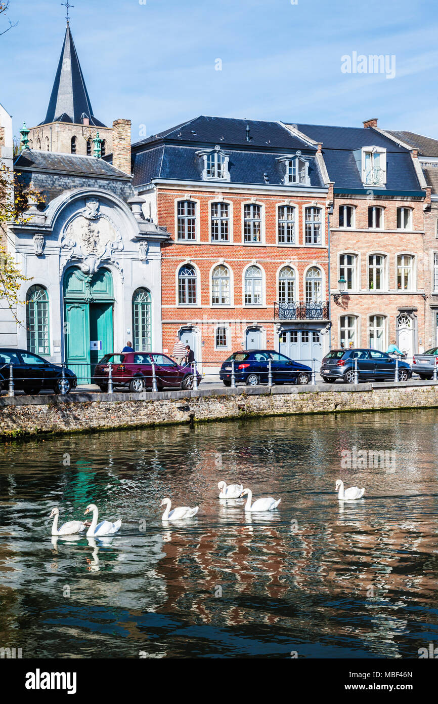 A group of swans glide along the Langerei in Bruges (Brugge), Belgium