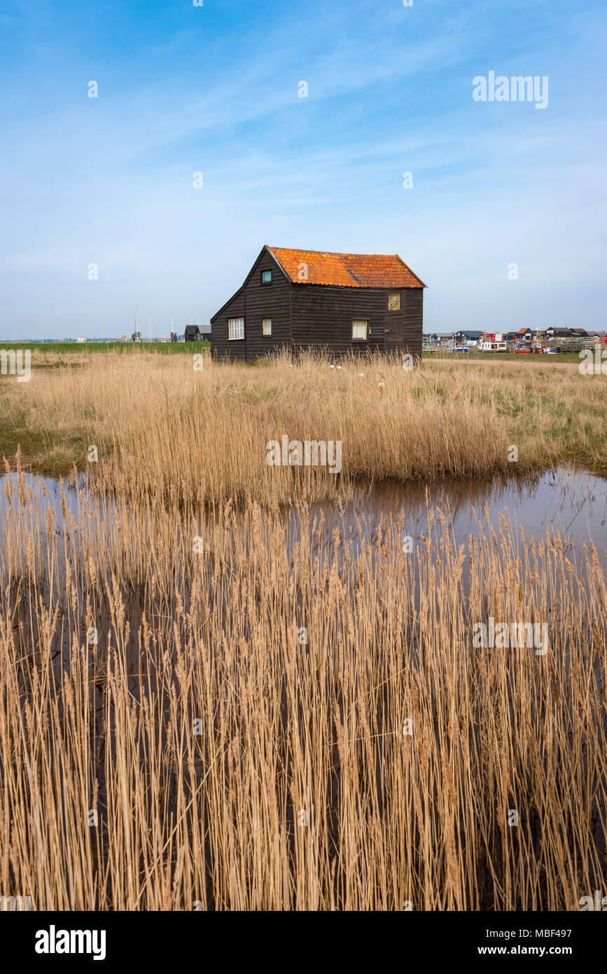 Suffolk landscape UK, view across marshland on Walberswick Common towards an old clapboard house, England, UK. Stock Photo