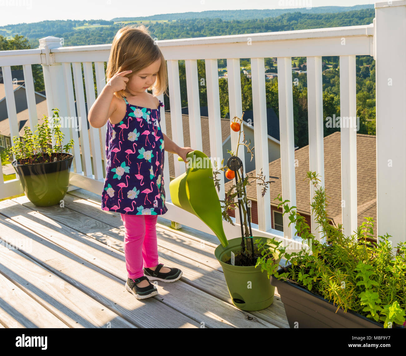 Child watering a plant on a wooden deck in summer Stock Photo