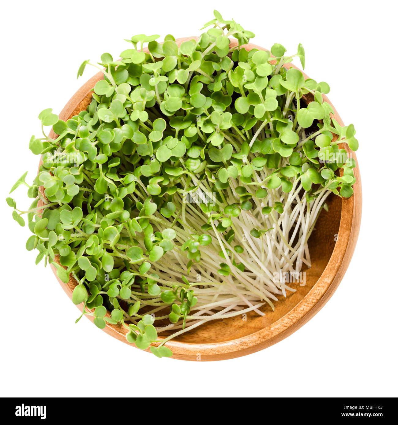 Herb sprouts hires stock photography and images Alamy