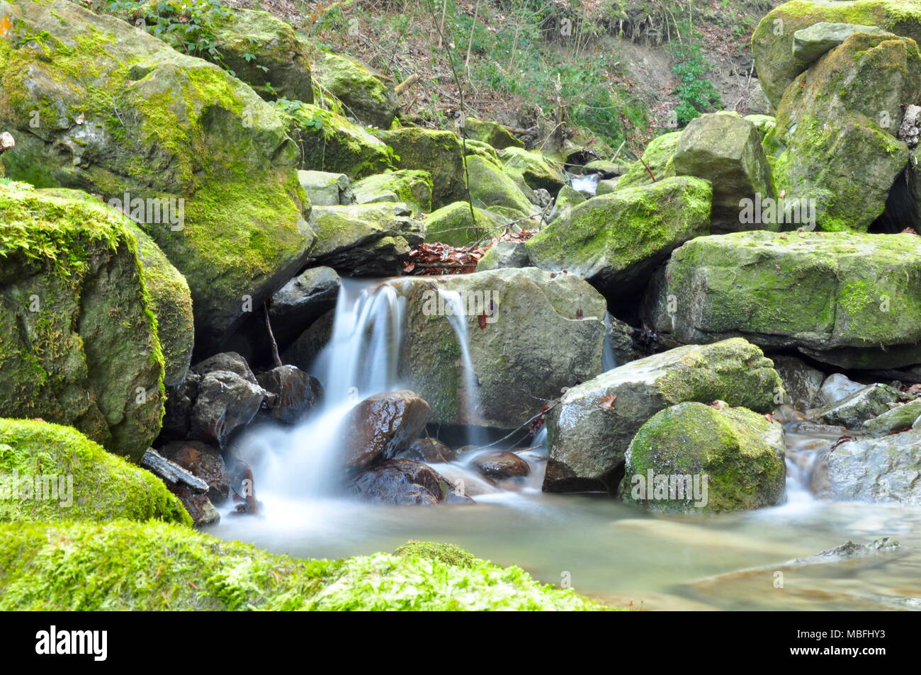 Green, mossy waterfall in the Goldach river, canyon in Wolfhalden, Switzerland Stock Photo