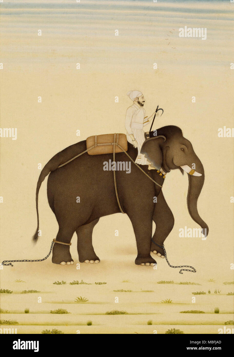 Mahout on an elephant; Stock Photo