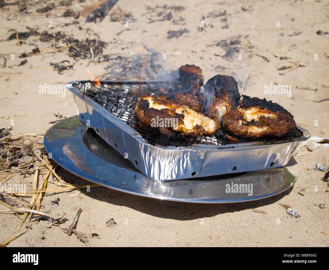 Disposable bbq discount
