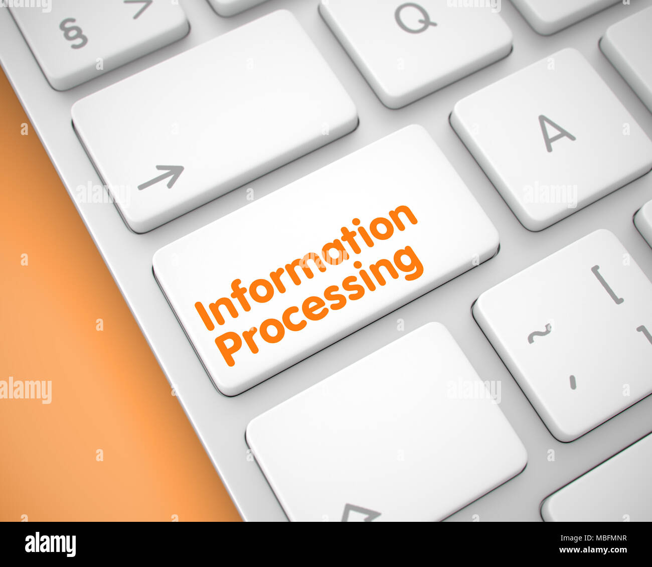 Information Processing - Text on the White Keyboard Key. 3D. Stock Photo