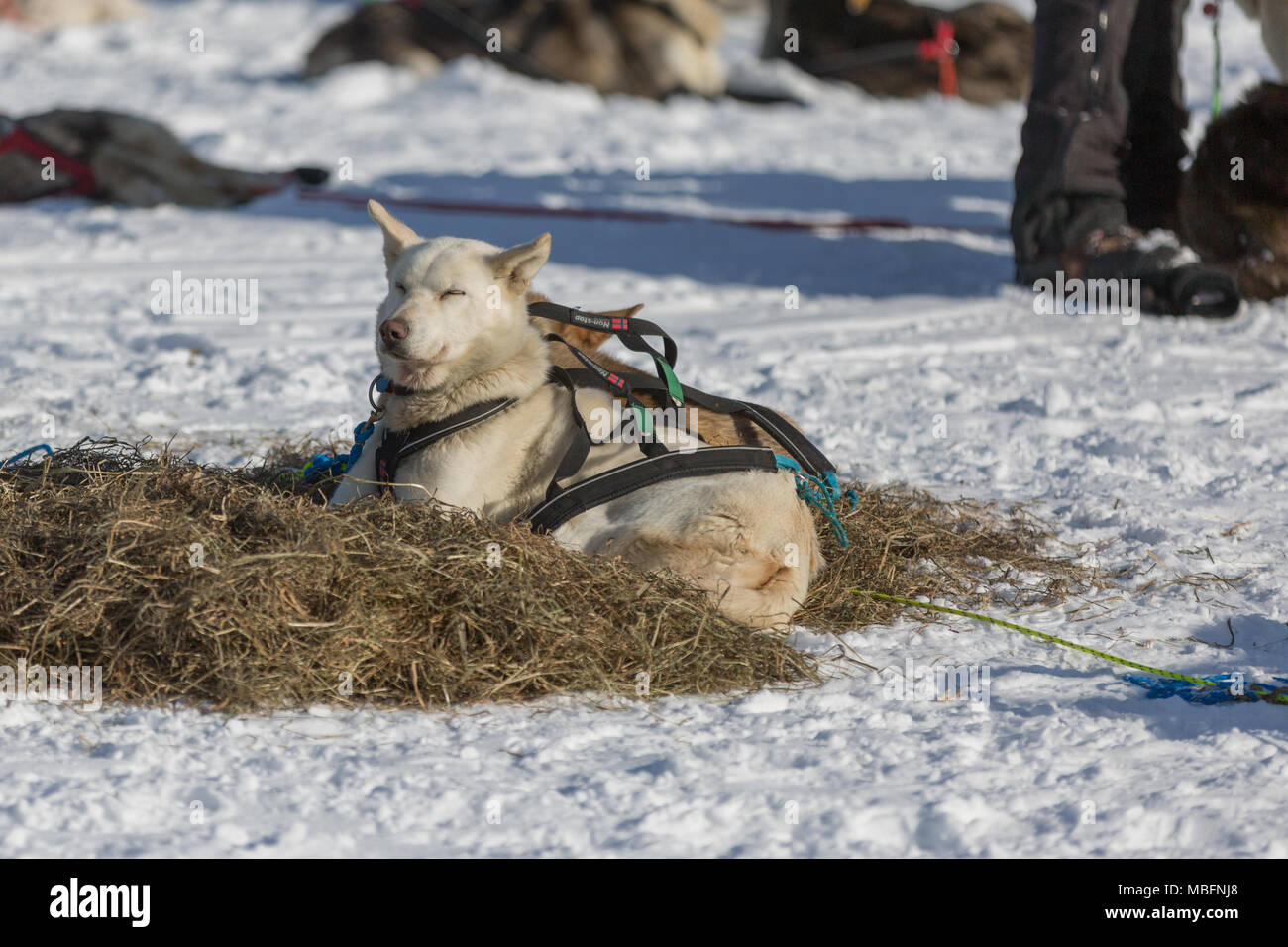 Resting stop hi-res stock photography and images - Alamy