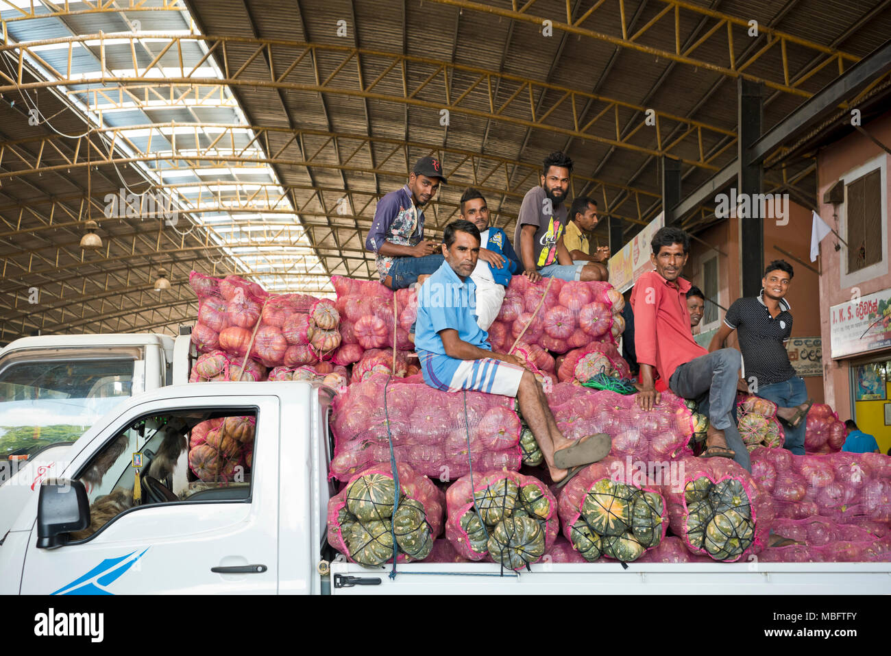 Horizontal view of workers sitting ontop of pumpkins waiting for