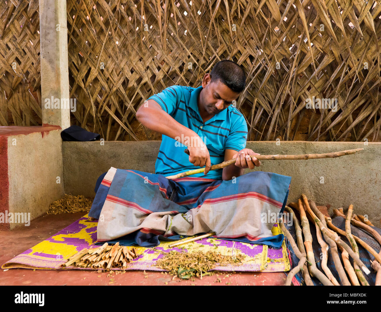 Horizontal portrait of a man making cinnamon sticks in Sri Lanka. Stock Photo