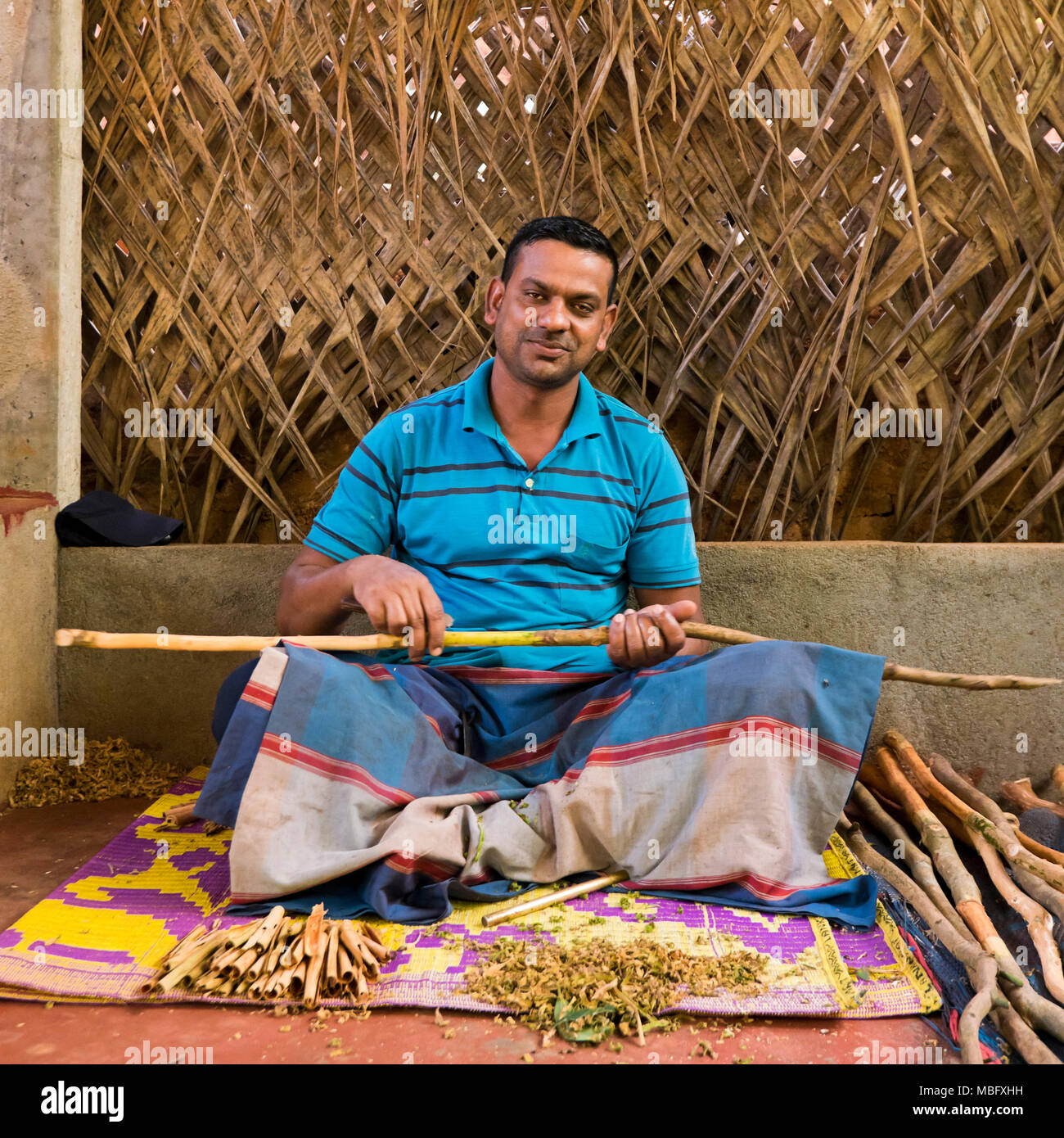 Square portrait of a man making cinnamon sticks in Sri Lanka. Stock Photo