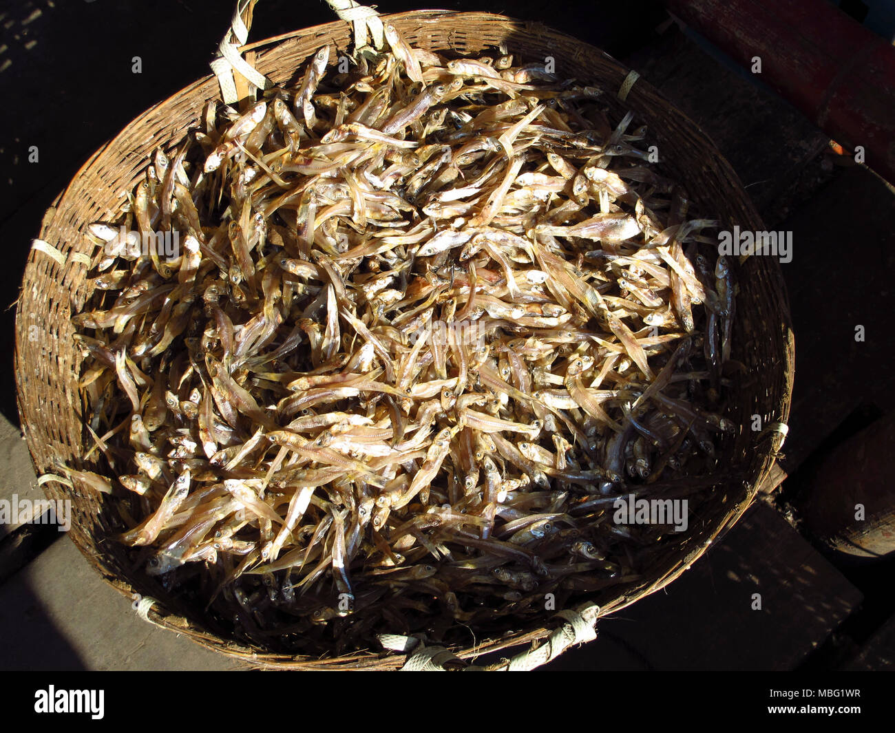little dried fishes in a basket on market in asia Stock Photo