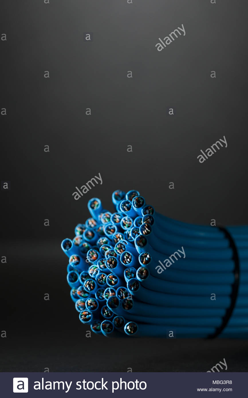 Blue computer cable bundle Stock Photo Alamy