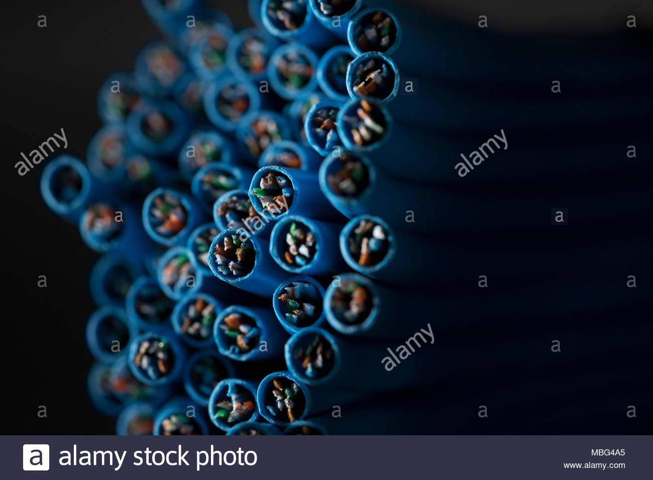 Blue computer cable bundle Stock Photo Alamy