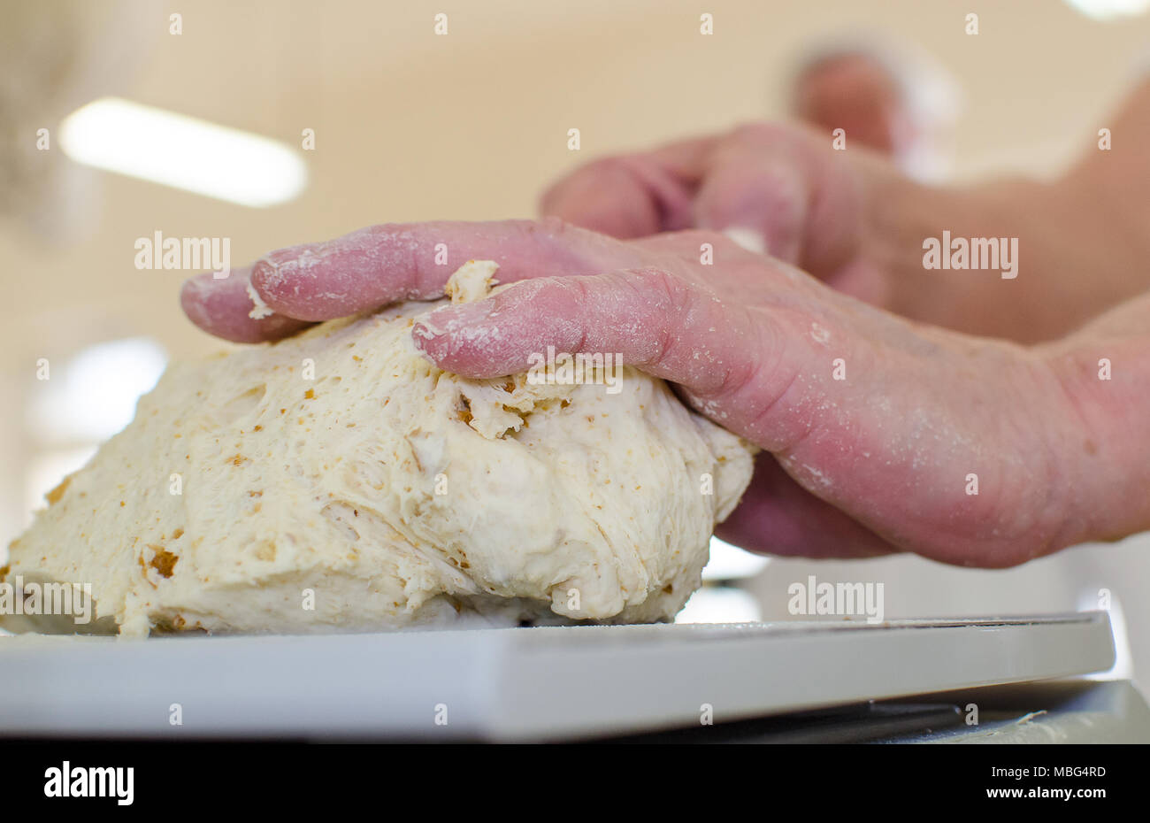 Preparing and weighing dough in a large bakery. Stock Photo