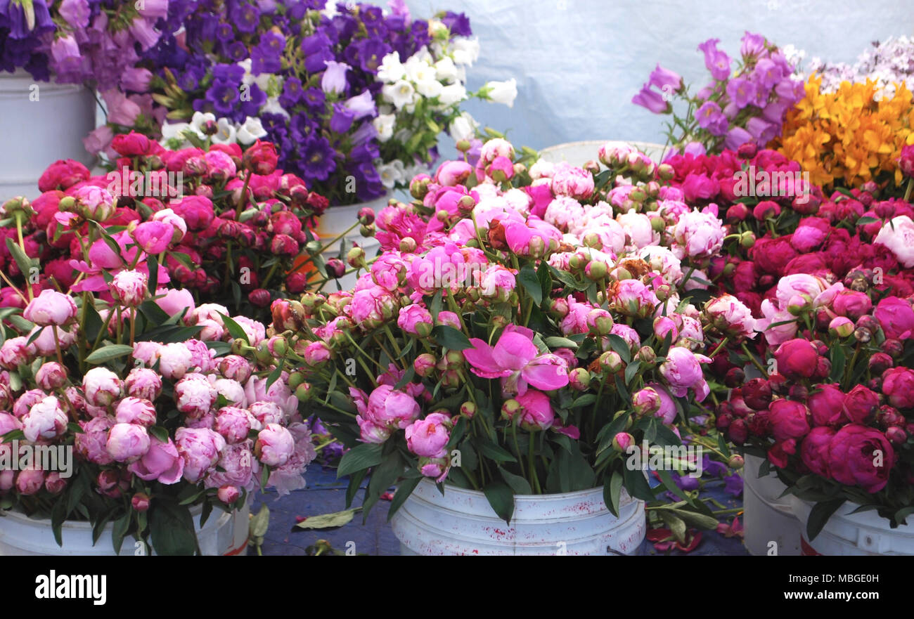 Buckets of Flowers at the Farmers Market Stock Photo
