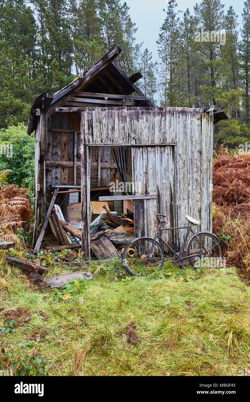 An old, collapsing shed in a forest with a old bike leaning against it Stock Photo