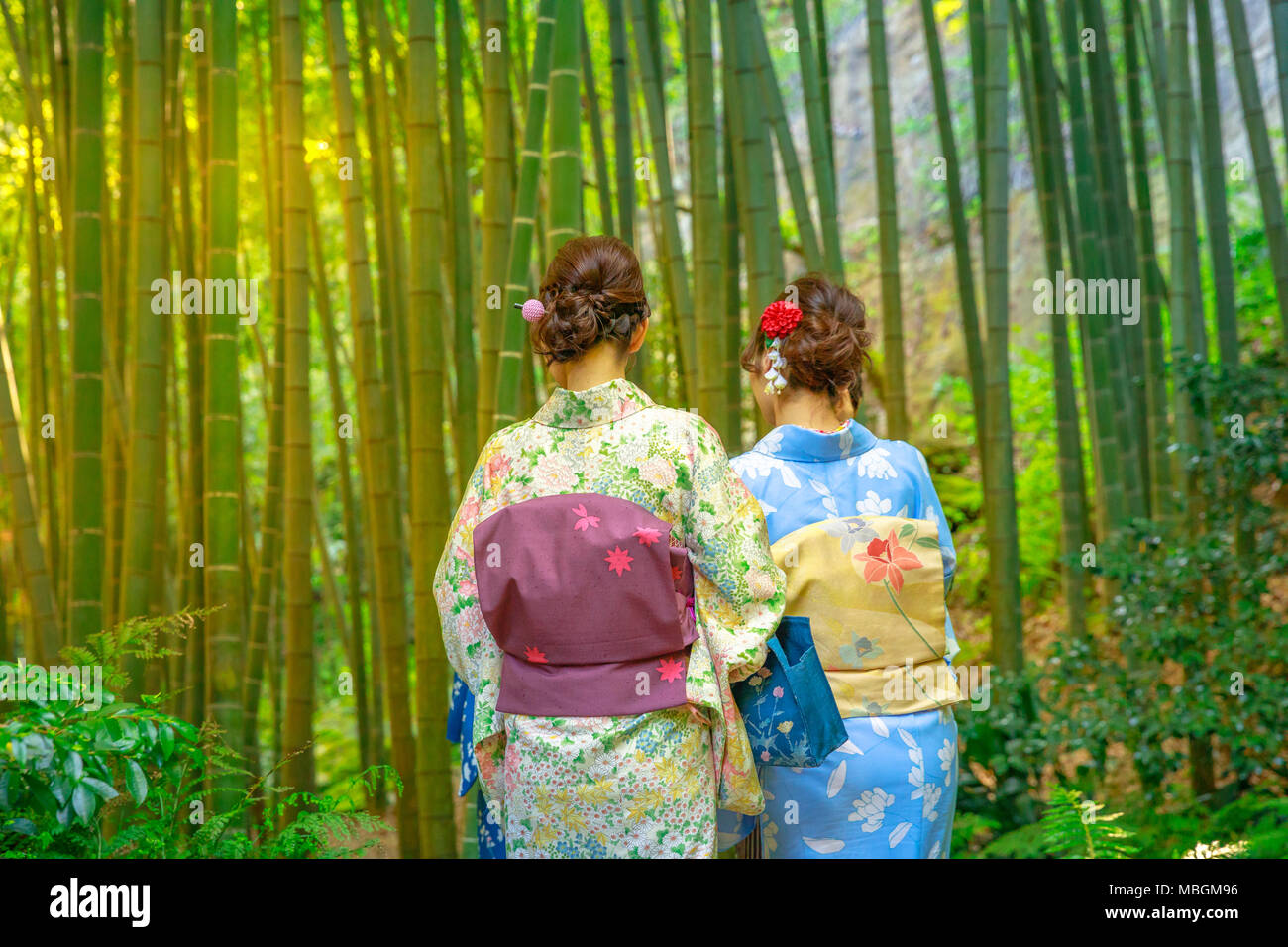 Kamakura, Japan - April 23, 2017: Women wearing Japanese kimono walking in bamboo garden of Take-dera Hokoku-ji Temple of Kamakura. Japanese culture and lifestyle on spring season. Stock Photo