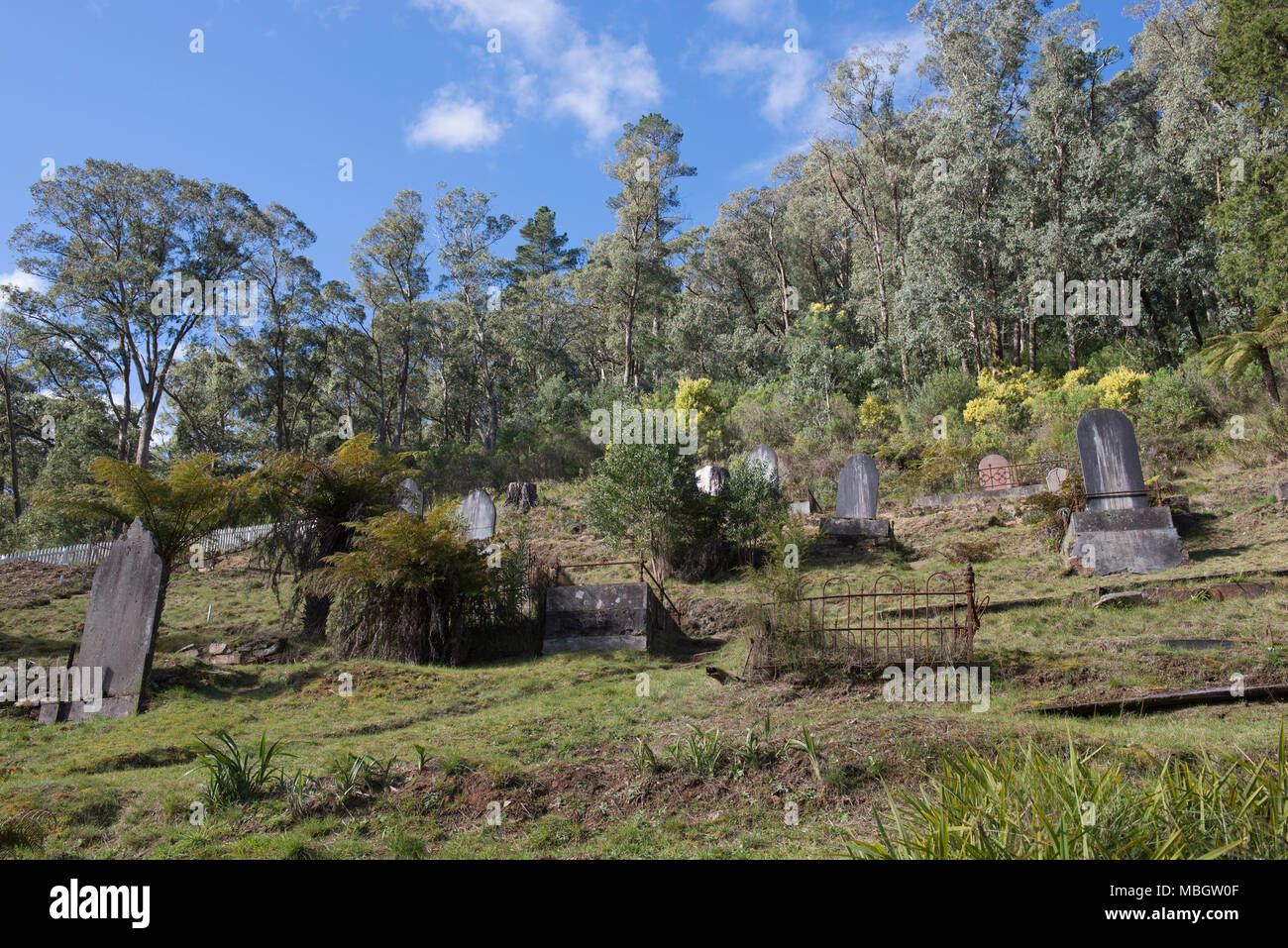 Walhalla Cemetery, on a spectacular hillside location, in the historic
