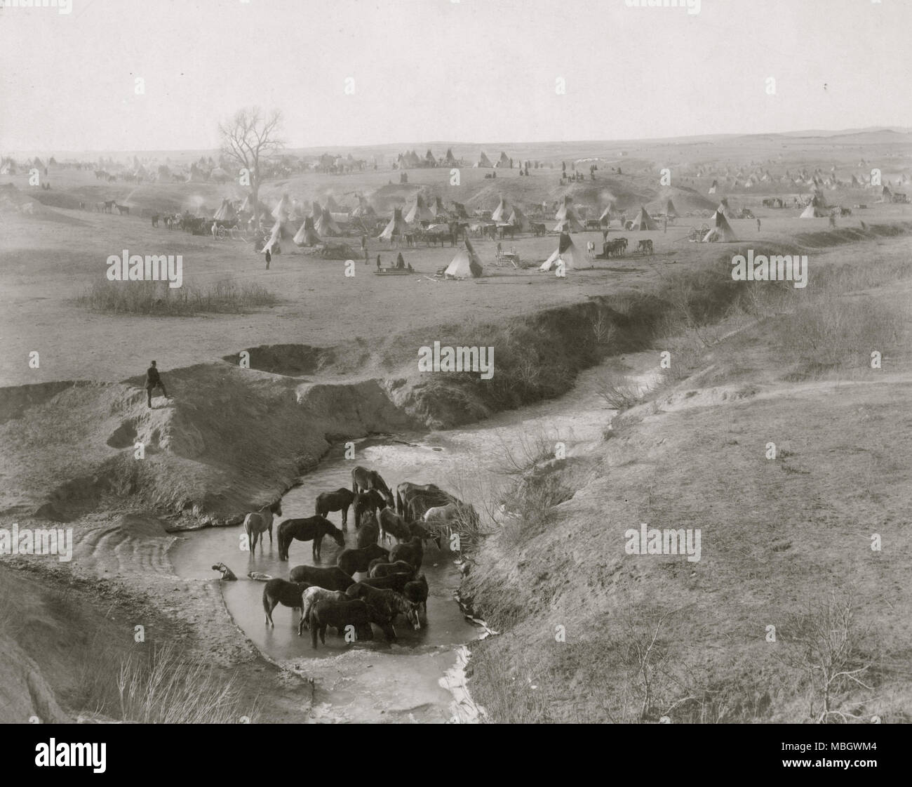 Lakota indian hi-res stock photography and images - Alamy