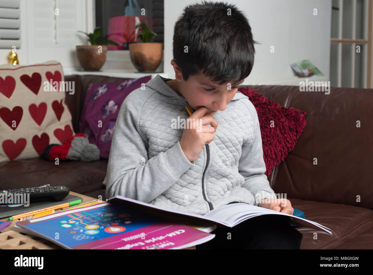 Boy 10 years old revising English at home Stock Photo