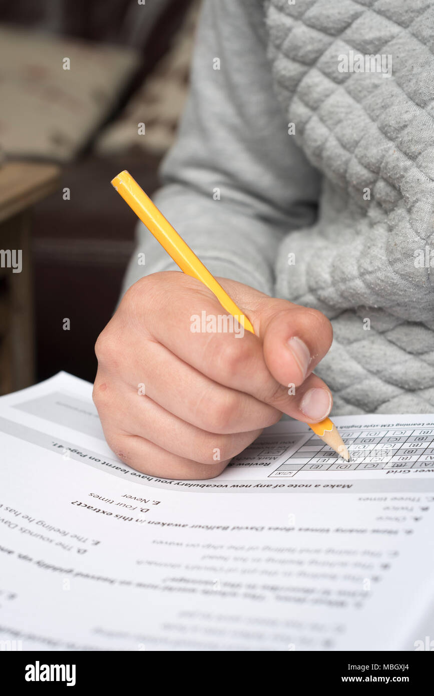 Boy 10 years old revising English at home Stock Photo