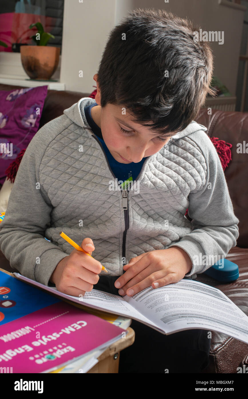 Boy 10 years old revising English at home Stock Photo